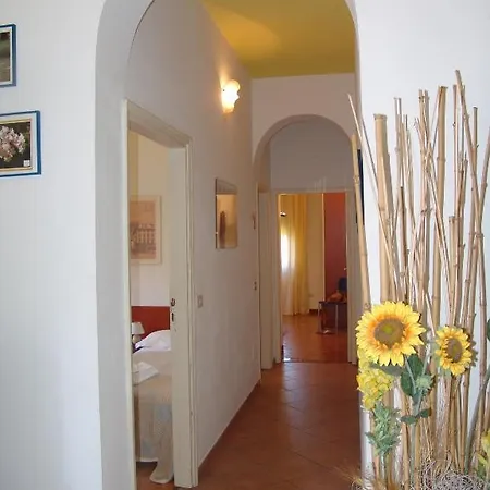 Green Apartment Apartment